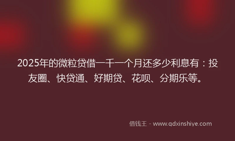 2025年的微粒贷借一千一个月还多少利息有：投友圈、快贷通、好期贷、花呗、分期乐等。