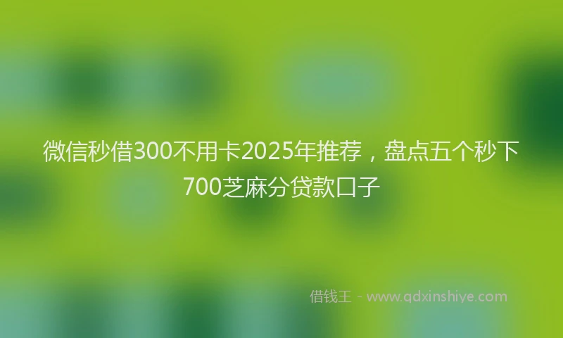 微信秒借300不用卡2025年推荐，盘点五个秒下700芝麻分贷款口子