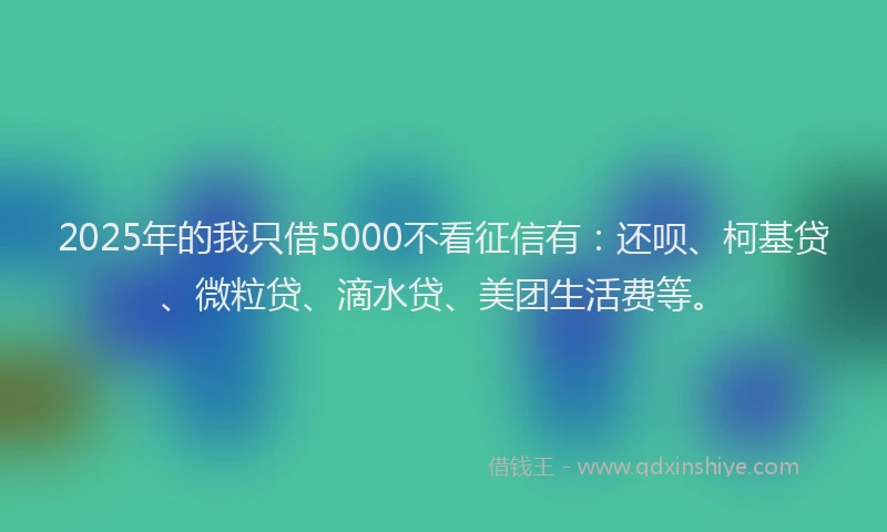 2025年的我只借5000不看征信有：还呗、柯基贷、微粒贷、滴水贷、美团生活费等。