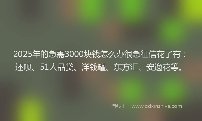 2025年的急需3000块钱怎么办很急征信花了有：还呗、51人品贷、洋钱罐、东方汇、安逸花等。