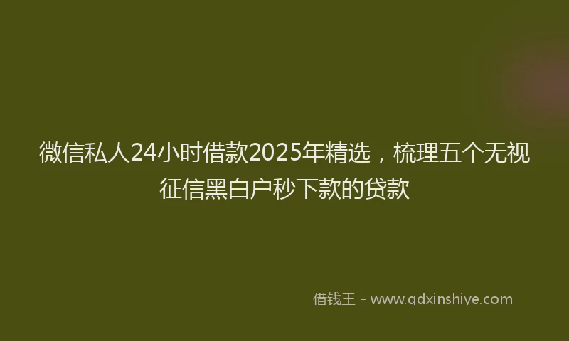 微信私人24小时借款2025年精选，梳理五个无视征信黑白户秒下款的贷款