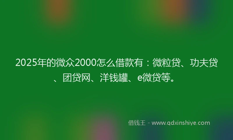 2025年的微众2000怎么借款有:微粒贷、功夫贷、团贷网、洋钱罐、e微贷等。