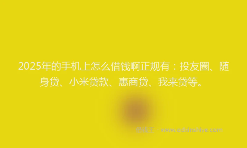 2025年的手机上怎么借钱啊正规有：投友圈、随身贷、小米贷款、惠商贷、我来贷等。