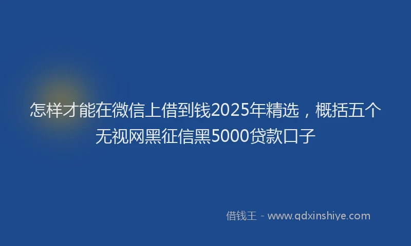怎样才能在微信上借到钱2025年精选，概括五个无视网黑征信黑5000贷款口子