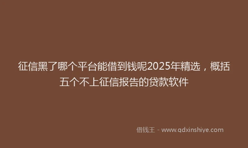 征信黑了哪个平台能借到钱呢2025年精选，概括五个不上征信报告的贷款软件