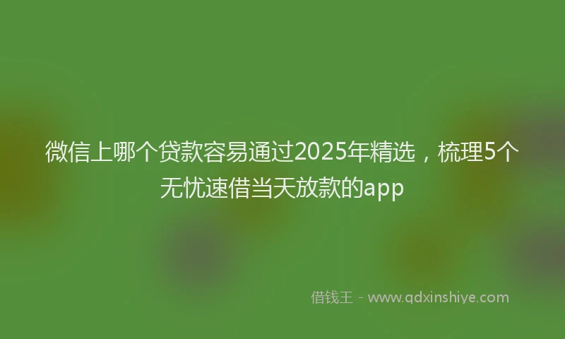 微信上哪个贷款容易通过2025年精选，梳理5个无忧速借当天放款的app