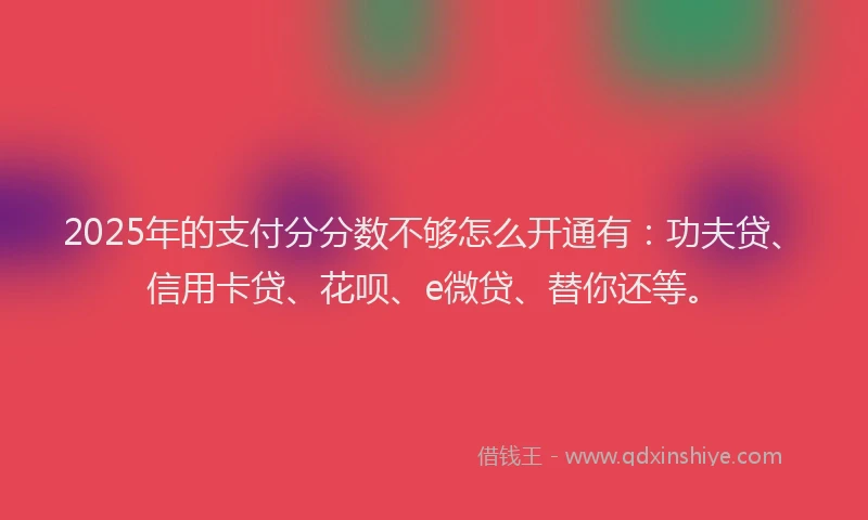 2025年的支付分分数不够怎么开通有：功夫贷、信用卡贷、花呗、e微贷、替你还等。