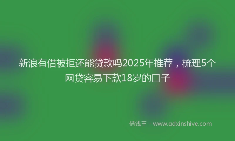 新浪有借被拒还能贷款吗2025年推荐，梳理5个网贷容易下款18岁的口子