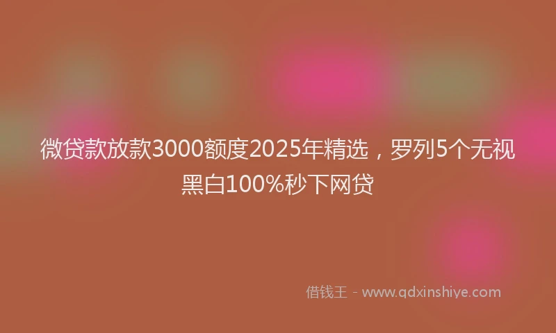 微贷款放款3000额度2025年精选，罗列5个无视黑白100%秒下网贷