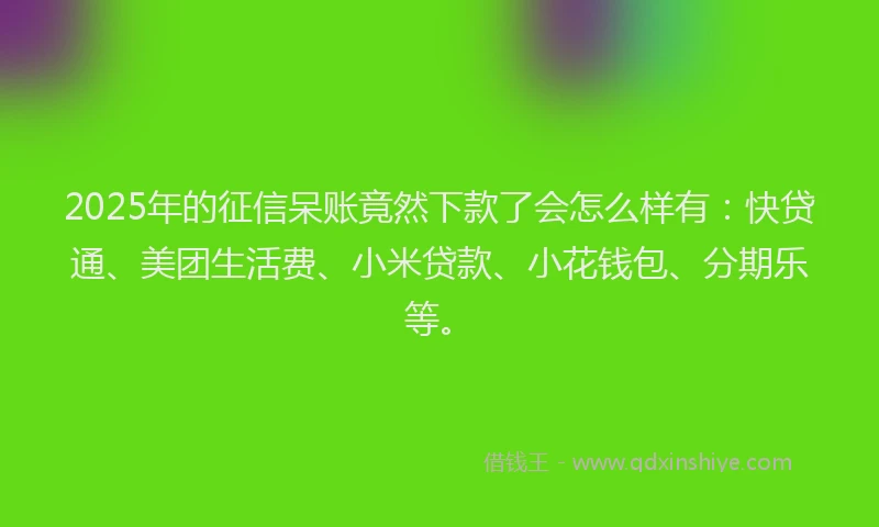 2025年的征信呆账竟然下款了会怎么样有：快贷通、美团生活费、小米贷款、小花钱包、分期乐等。