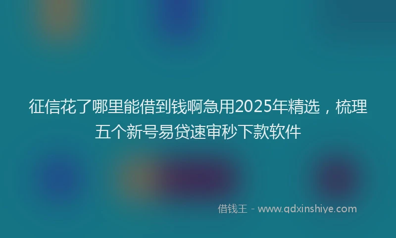 征信花了哪里能借到钱啊急用2025年精选，梳理五个新号易贷速审秒下款软件