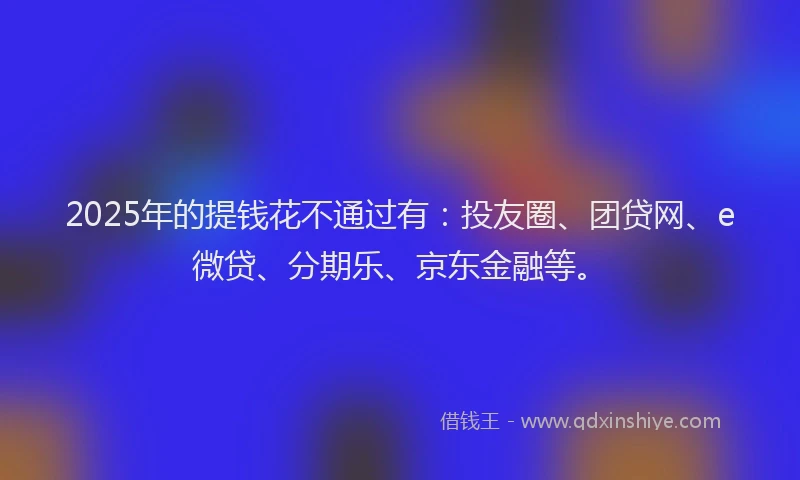 2025年的提钱花不通过有：投友圈、团贷网、e微贷、分期乐、京东金融等。