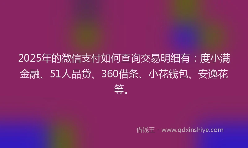 2025年的微信支付如何查询交易明细有：度小满金融、51人品贷、360借条、小花钱包、安逸花等。