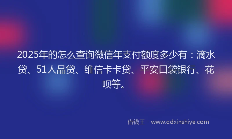 2025年的怎么查询微信年支付额度多少有：滴水贷、51人品贷、维信卡卡贷、平安口袋银行、花呗等。