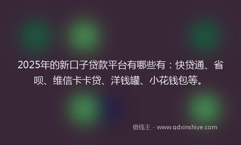 2025年的新口子贷款平台有哪些有：快贷通、省呗、维信卡卡贷、洋钱罐、小花钱包等。