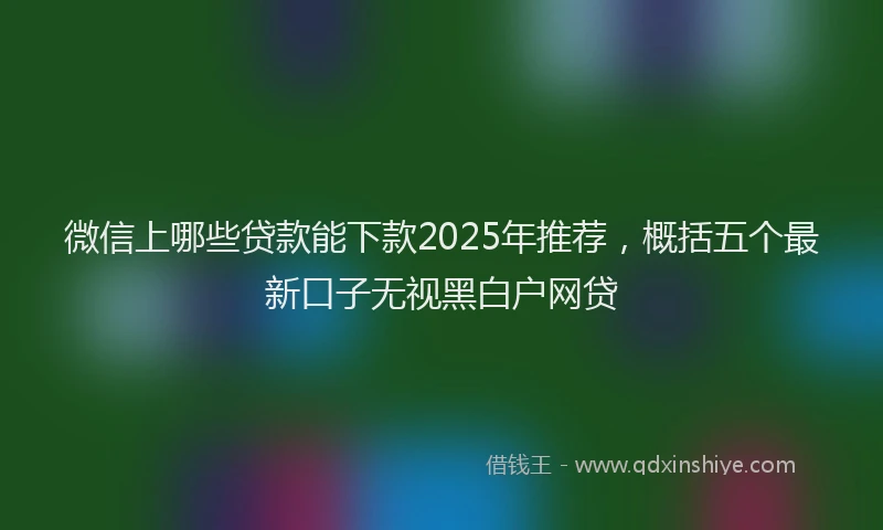 微信上哪些贷款能下款2025年推荐，概括五个最新口子无视黑白户网贷