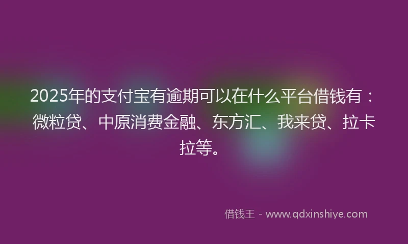 2025年的支付宝有逾期可以在什么平台借钱有：微粒贷、中原消费金融、东方汇、我来贷、拉卡拉等。