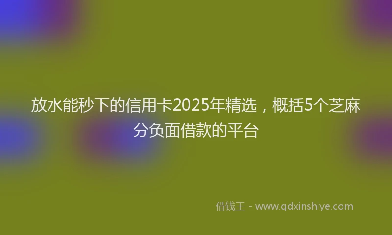 放水能秒下的信用卡2025年精选，概括5个芝麻分负面借款的平台