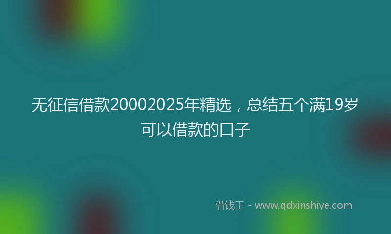 无征信借款20002025年精选，总结五个满19岁可以借款的口子