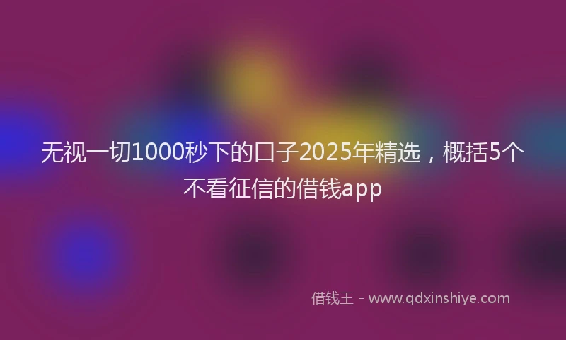 无视一切1000秒下的口子2025年精选，概括5个不看征信的借钱app
