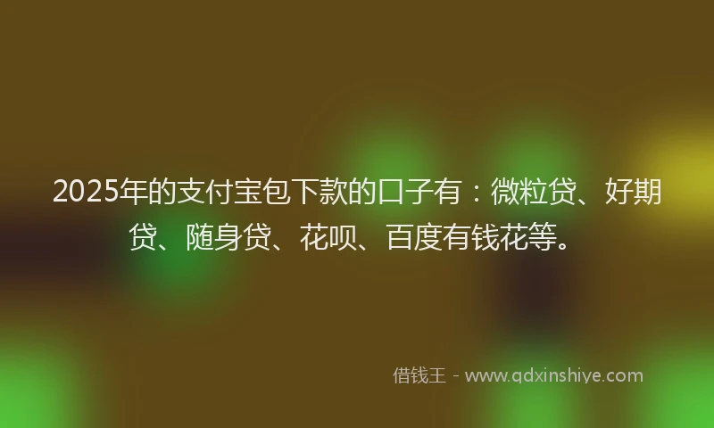 2025年的支付宝包下款的口子有：微粒贷、好期贷、随身贷、花呗、百度有钱花等。