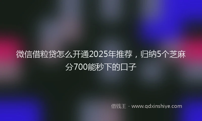 微信借粒贷怎么开通2025年推荐，归纳5个芝麻分700能秒下的口子