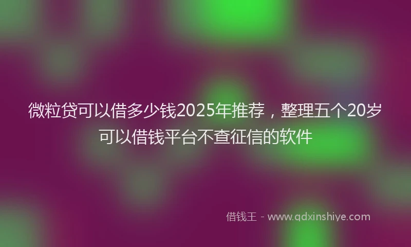 微粒贷可以借多少钱2025年推荐，整理五个20岁可以借钱平台不查征信的软件