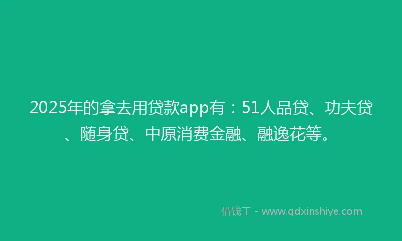2025年的拿去用贷款app有：51人品贷、功夫贷、随身贷、中原消费金融、融逸花等。