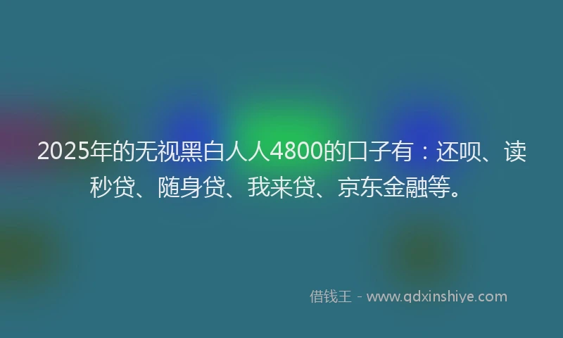 2025年的无视黑白人人4800的口子有：还呗、读秒贷、随身贷、我来贷、京东金融等。