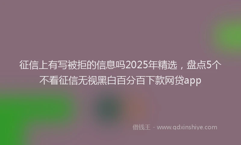 征信上有写被拒的信息吗2025年精选，盘点5个不看征信无视黑白百分百下款网贷app