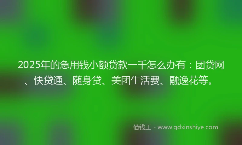 2025年的急用钱小额贷款一千怎么办有：团贷网、快贷通、随身贷、美团生活费、融逸花等。