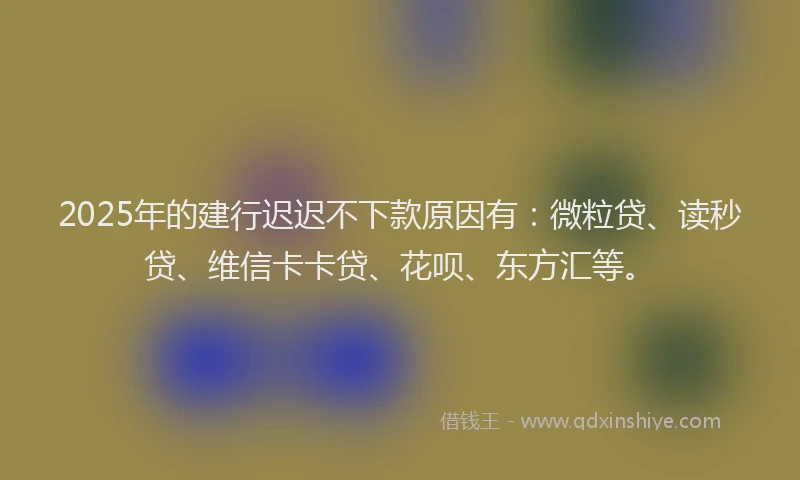 2025年的建行迟迟不下款原因有：微粒贷、读秒贷、维信卡卡贷、花呗、东方汇等。