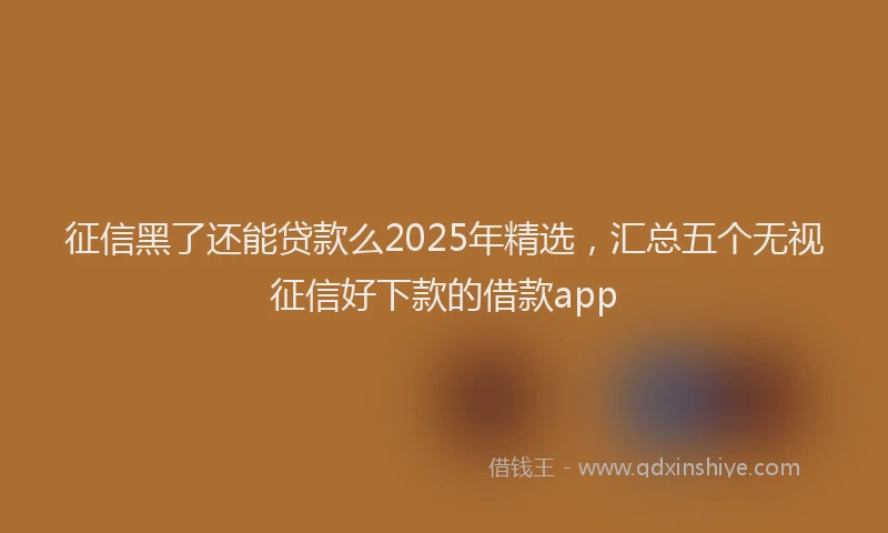 征信黑了还能贷款么2025年精选，汇总五个无视征信好下款的借款app