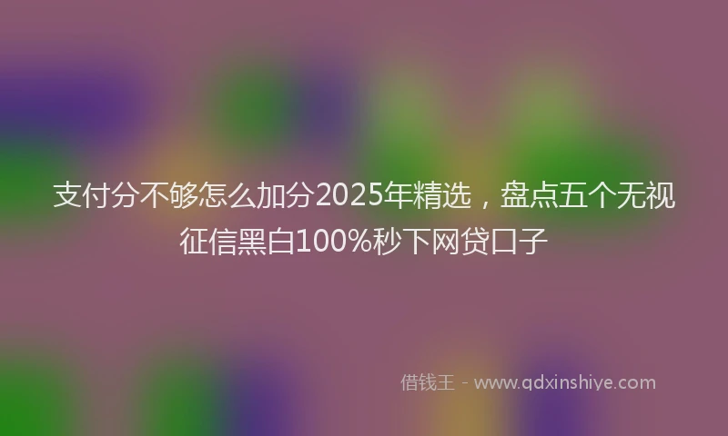 支付分不够怎么加分2025年精选，盘点五个无视征信黑白100%秒下网贷口子