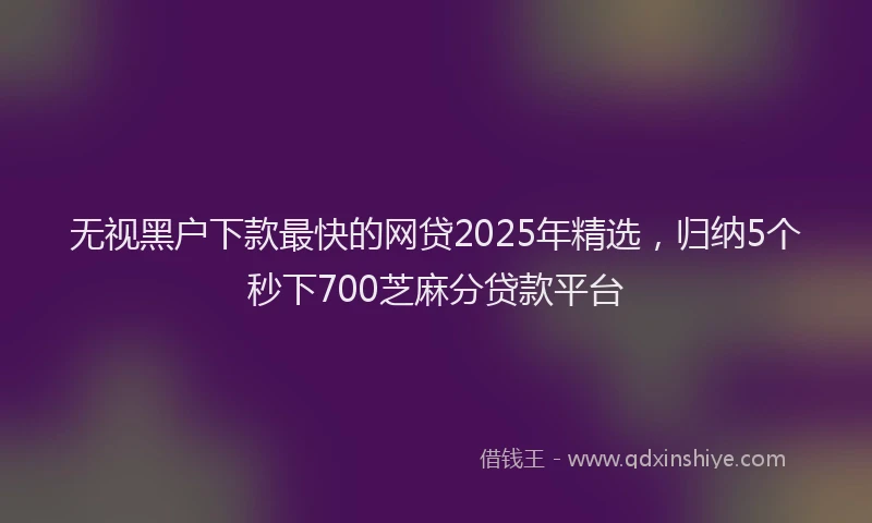 无视黑户下款最快的网贷2025年精选，归纳5个秒下700芝麻分贷款平台