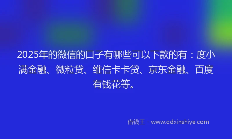 2025年的微信的口子有哪些可以下款的有：度小满金融、微粒贷、维信卡卡贷、京东金融、百度有钱花等。