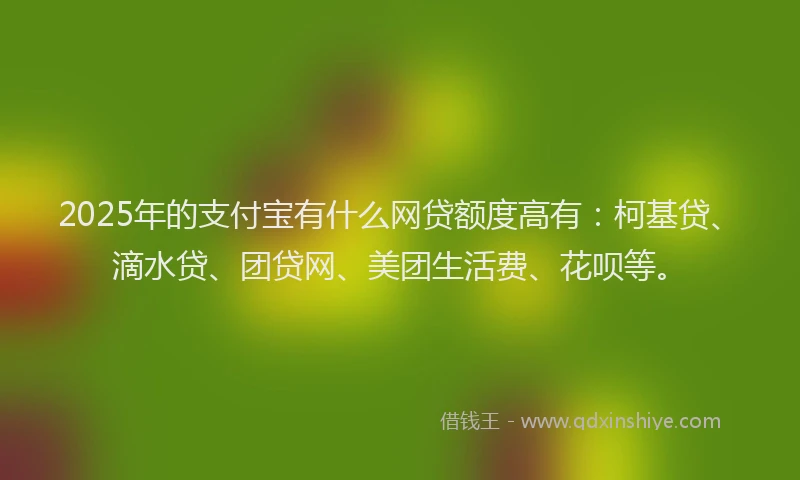 2025年的支付宝有什么网贷额度高有：柯基贷、滴水贷、团贷网、美团生活费、花呗等。