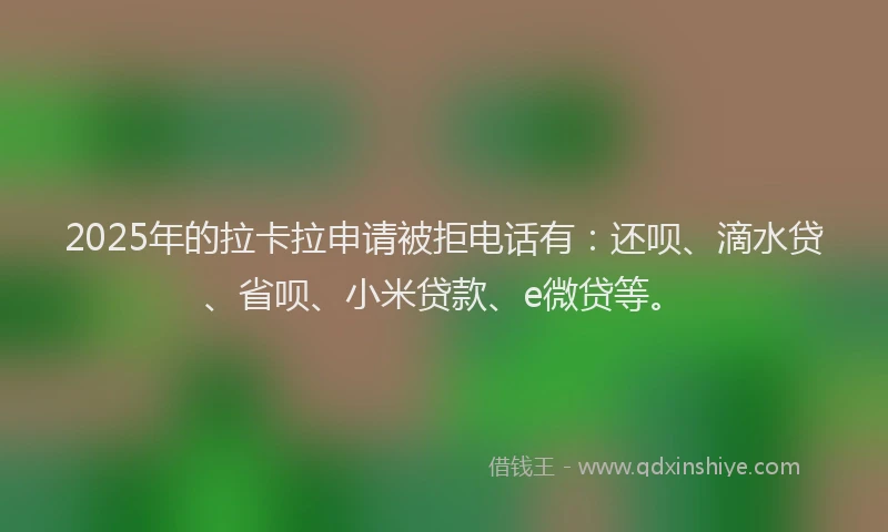 2025年的拉卡拉申请被拒电话有：还呗、滴水贷、省呗、小米贷款、e微贷等。
