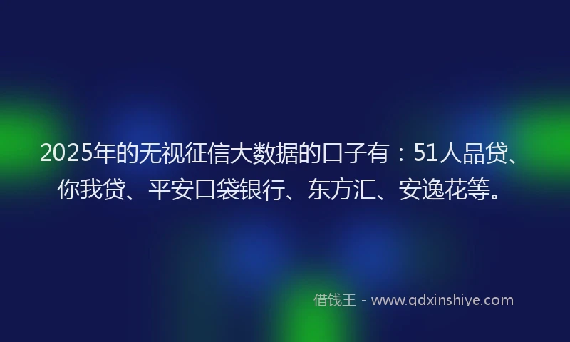 2025年的无视征信大数据的口子有：51人品贷、你我贷、平安口袋银行、东方汇、安逸花等。