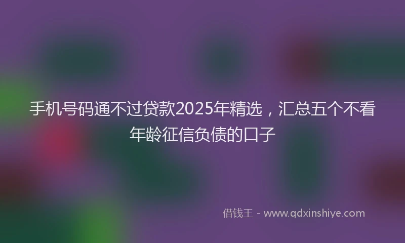 手机号码通不过贷款2025年精选，汇总五个不看年龄征信负债的口子
