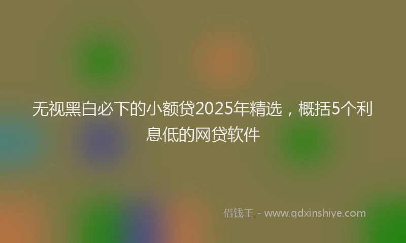 无视黑白必下的小额贷2025年精选，概括5个利息低的网贷软件