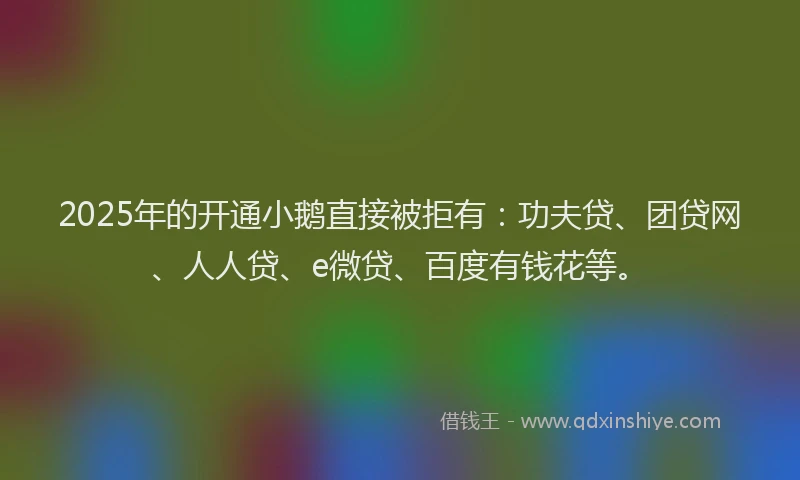 2025年的开通小鹅直接被拒有：功夫贷、团贷网、人人贷、e微贷、百度有钱花等。