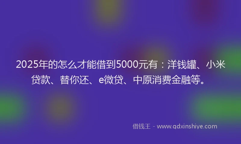 2025年的怎么才能借到5000元有：洋钱罐、小米贷款、替你还、e微贷、中原消费金融等。