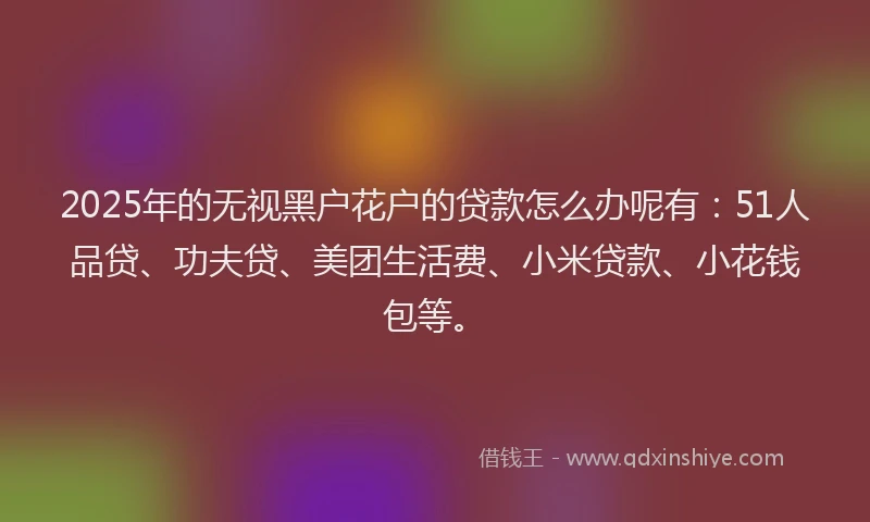 2025年的无视黑户花户的贷款怎么办呢有：51人品贷、功夫贷、美团生活费、小米贷款、小花钱包等。
