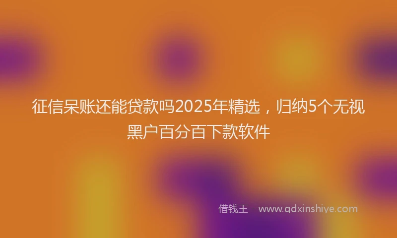 征信呆账还能贷款吗2025年精选，归纳5个无视黑户百分百下款软件