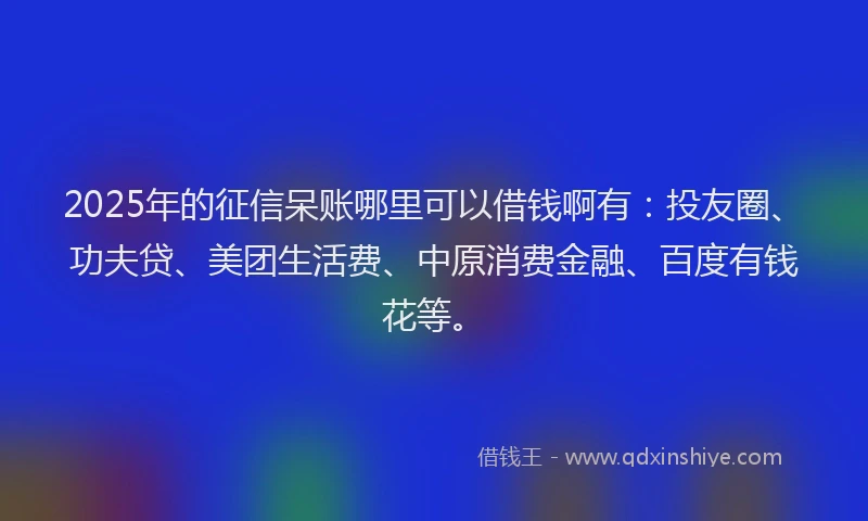2025年的征信呆账哪里可以借钱啊有：投友圈、功夫贷、美团生活费、中原消费金融、百度有钱花等。