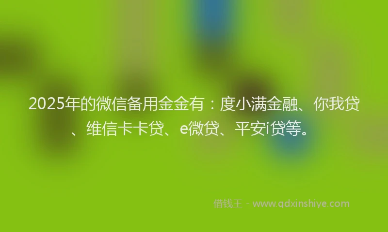 2025年的微信备用金金有：度小满金融、你我贷、维信卡卡贷、e微贷、平安i贷等。