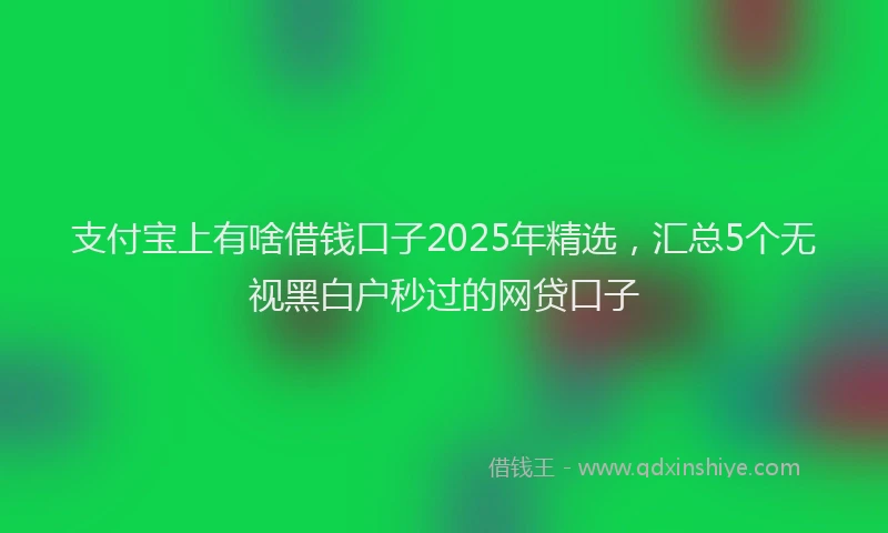 支付宝上有啥借钱口子2025年精选，汇总5个无视黑白户秒过的网贷口子