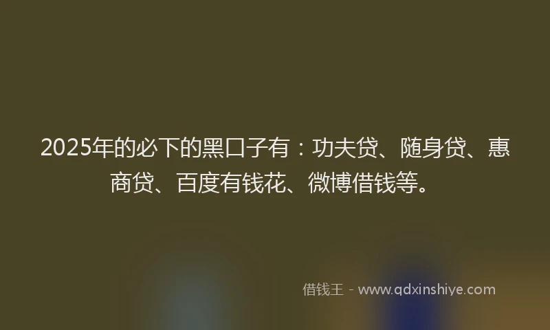 2025年的必下的黑口子有：功夫贷、随身贷、惠商贷、百度有钱花、微博借钱等。