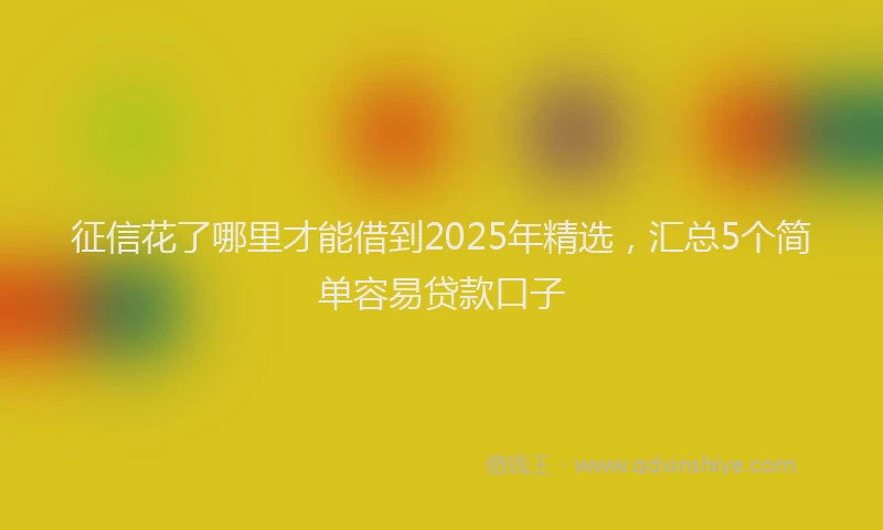 征信花了哪里才能借到2025年精选，汇总5个简单容易贷款口子